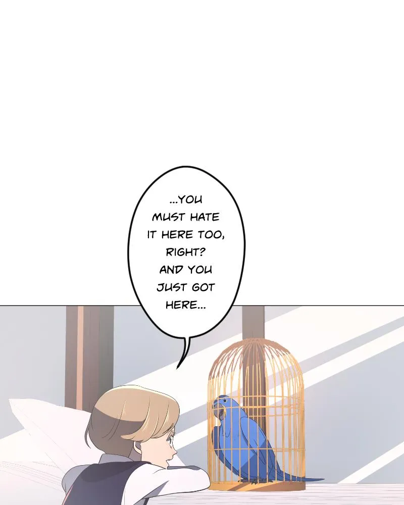 LUFF Chapter 63 page 64 - 