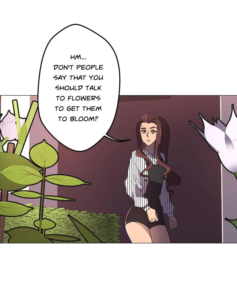 LUFF Chapter 74 page 5 - 