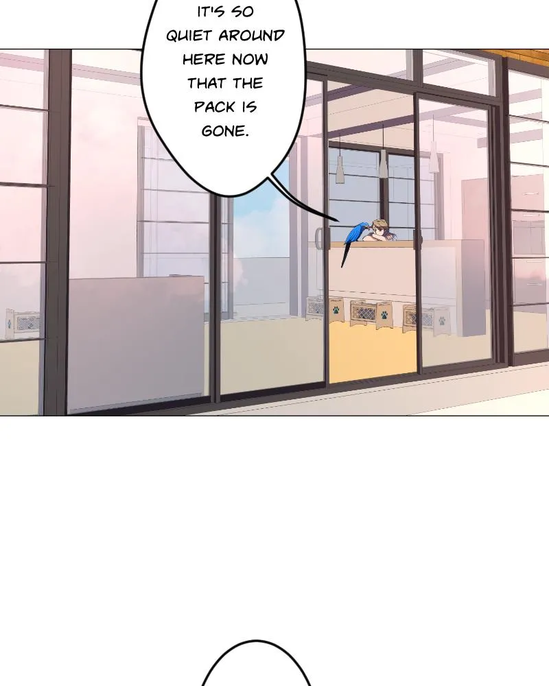 LUFF Chapter 75 page 6 - 