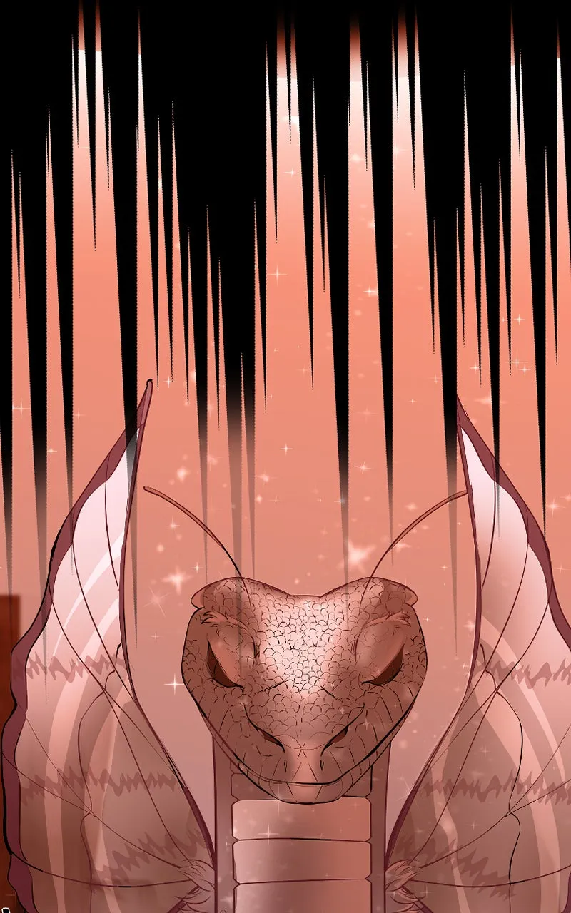 Luggage Chapter 39 page 79 - 