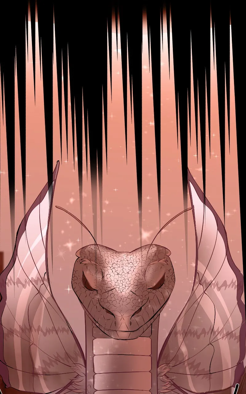 Luggage Chapter 41 page 3 - 
