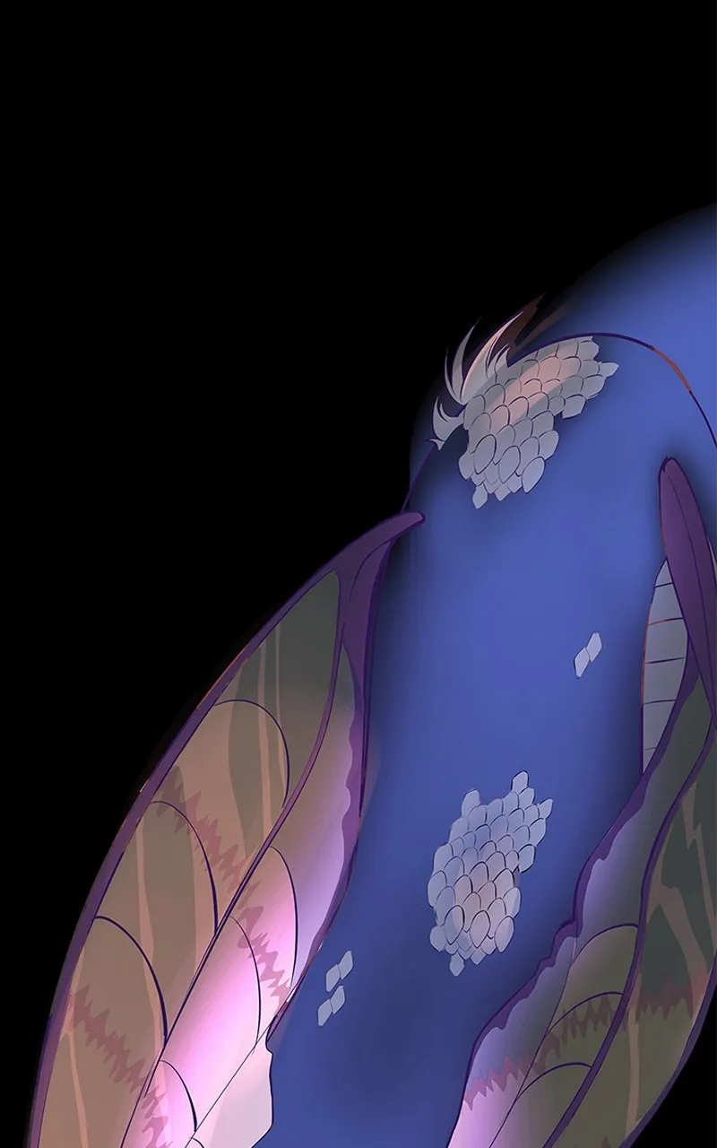 Luggage Chapter 48 page 70 - 