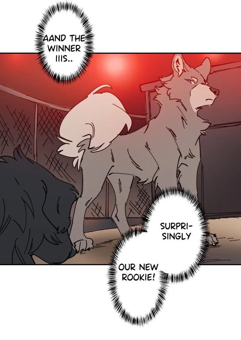 LUMINE Chapter 112 page 20 - 