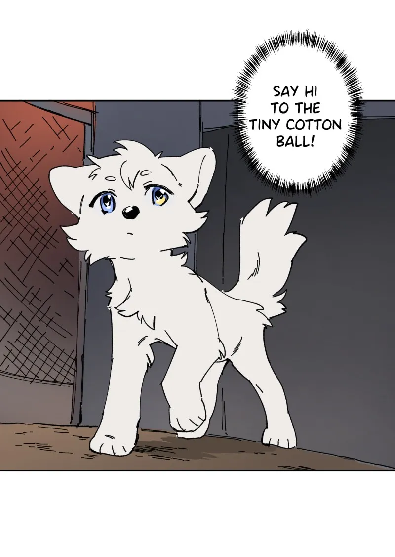 LUMINE Chapter 112 page 35 - 