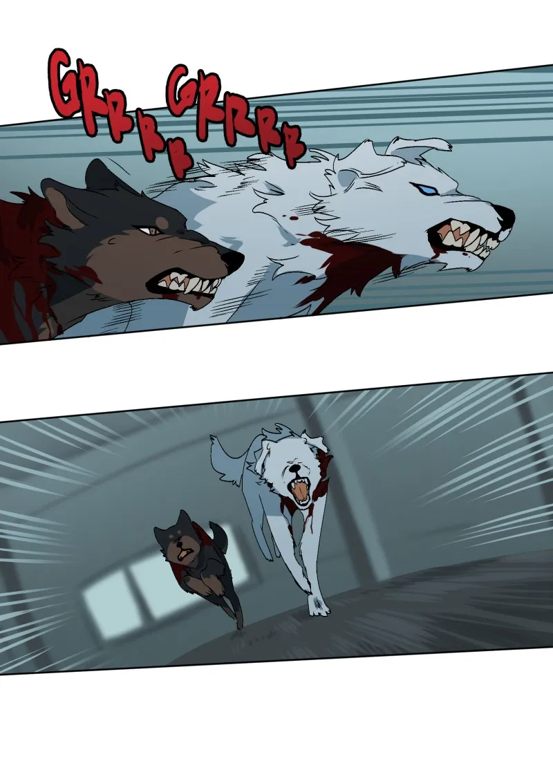 LUMINE Chapter 31 page 14 - 