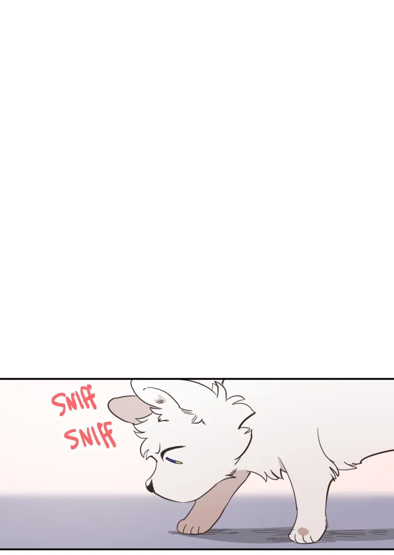 LUMINE Chapter 79 page 41 - 