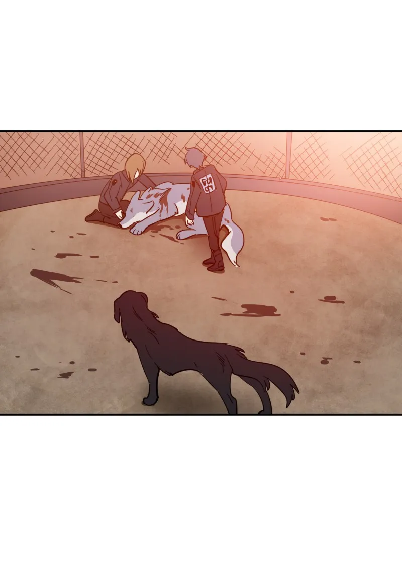 LUMINE Chapter 80 page 12 - 