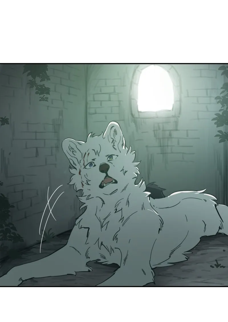 LUMINE Chapter 85 page 19 - 