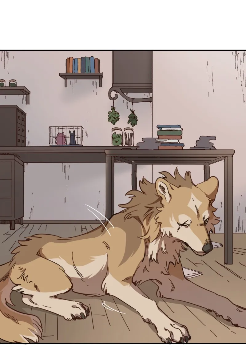 LUMINE Chapter 86 page 19 - 