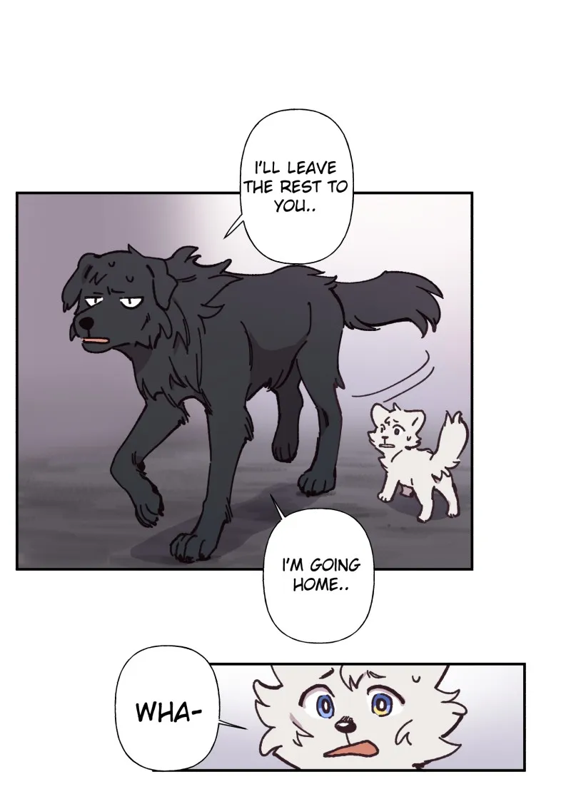 LUMINE Chapter 88 page 19 - 