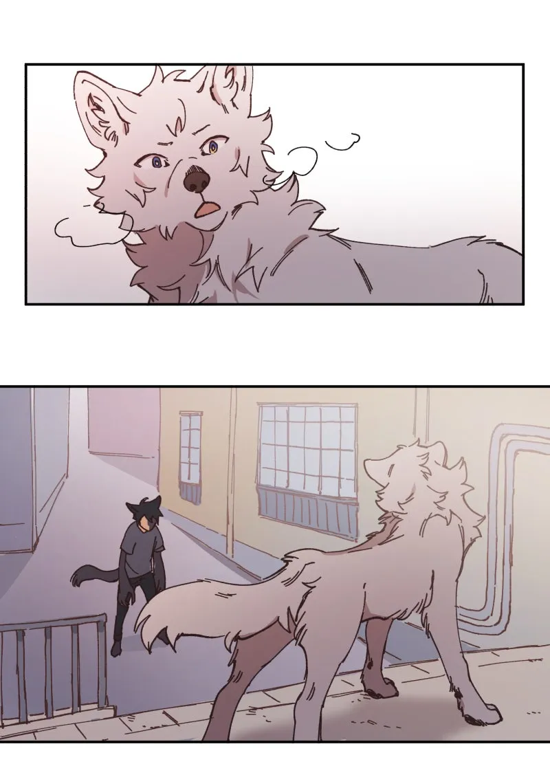 LUMINE Chapter 97 page 40 - 