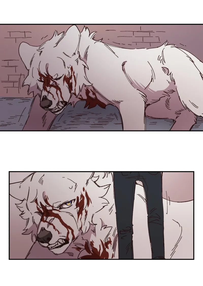 LUMINE Chapter 98 page 21 - 