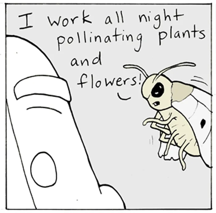 Lunarbaboon Chapter 674 page 4 - 