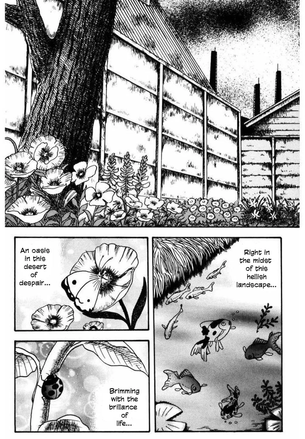 M Collection Chapter 11 page 22 - 