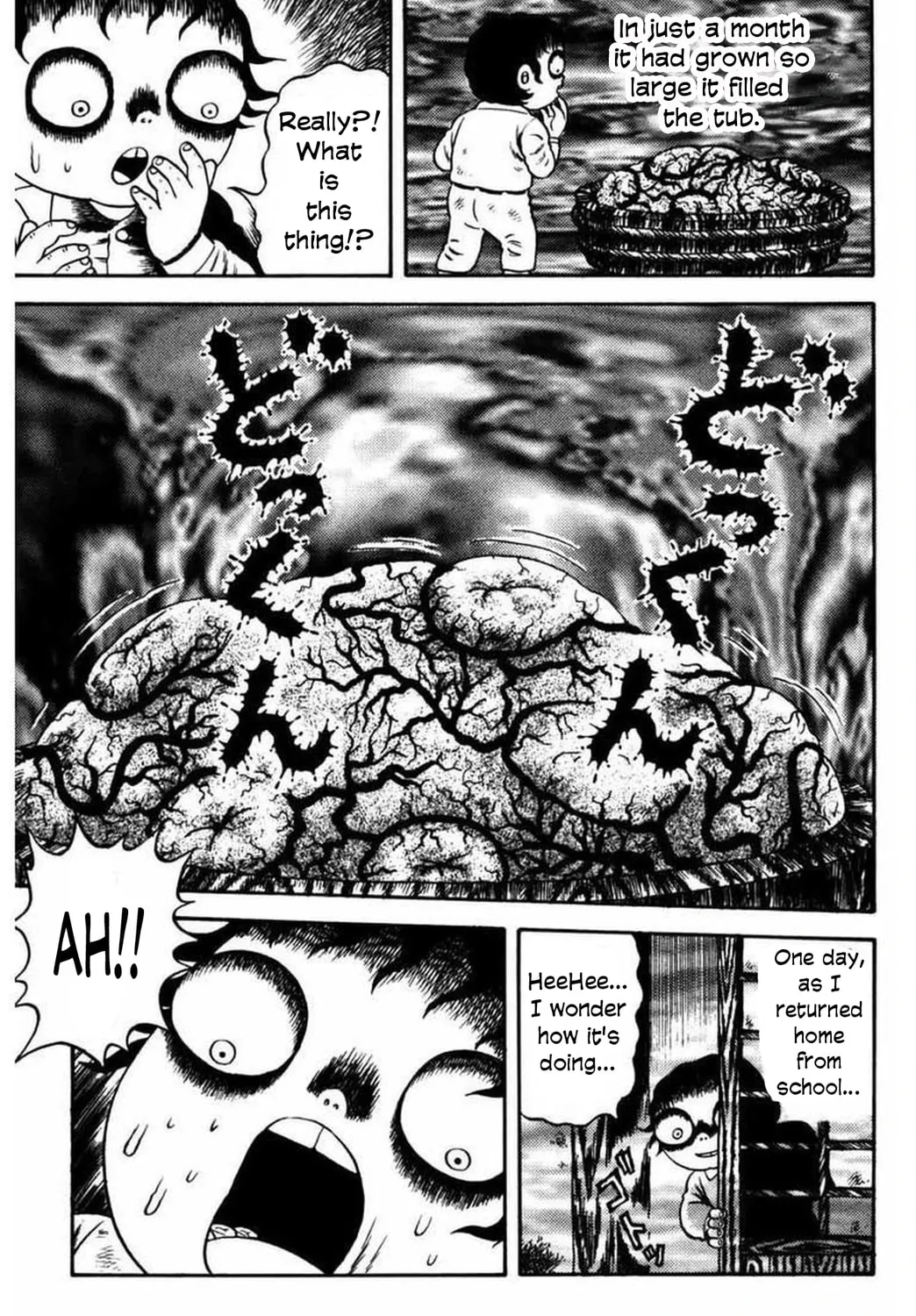 M Collection Chapter 12 page 14 - 