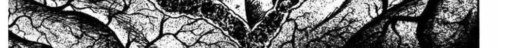 M Collection Chapter 12 page 51 - 