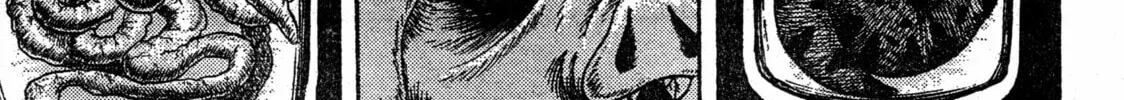 M Collection Chapter 14 page 16 - 