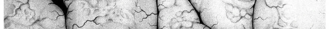M Collection Chapter 15 page 2 - 