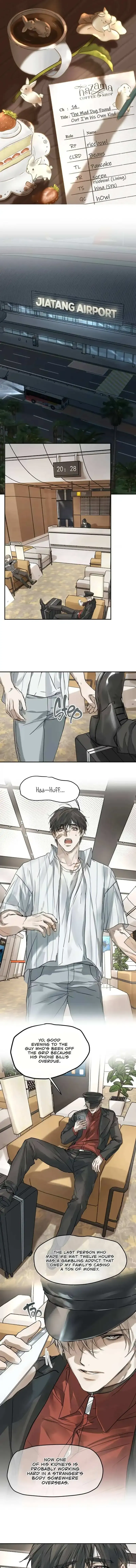 Mad Dog, Same Kind Chapter 14 page 1 - 