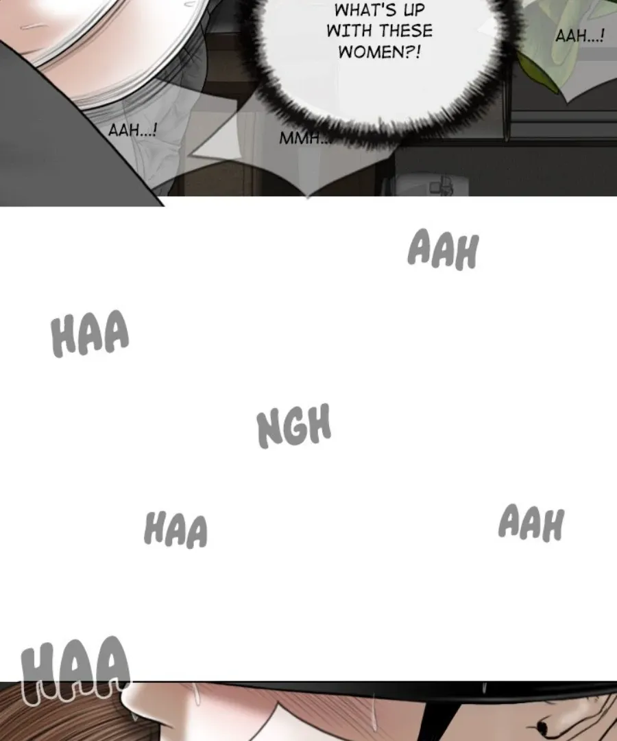 Magnetic Pull Chapter 55 page 97 - 