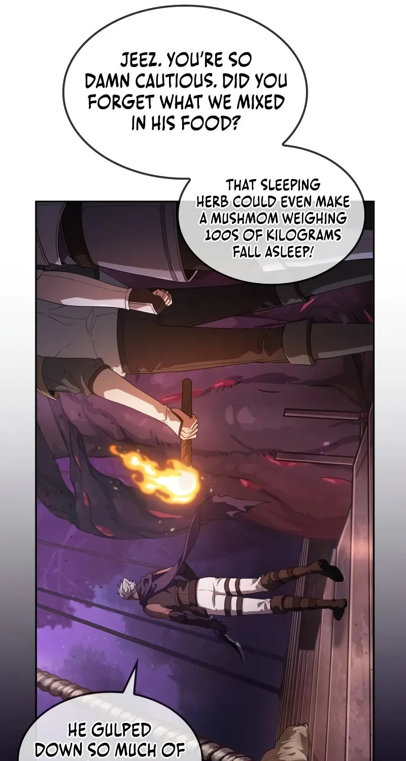 Maplestory: The Last Adventurer Chapter 2 page 115 - 