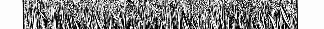Maris Stella of Doomsday Chapter 2 page 34 - 