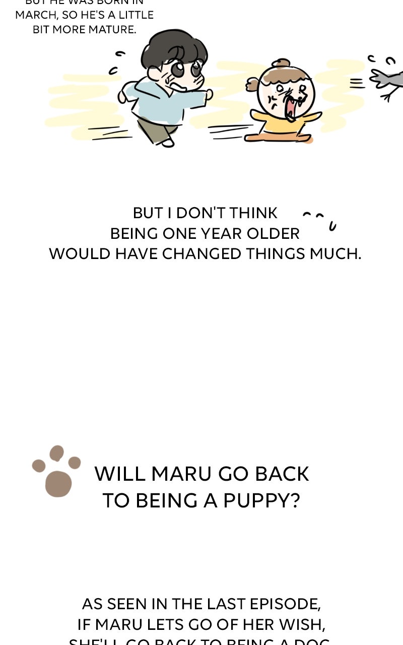 Maru is a Puppy Ep. 119 - Afterword page 8 - 