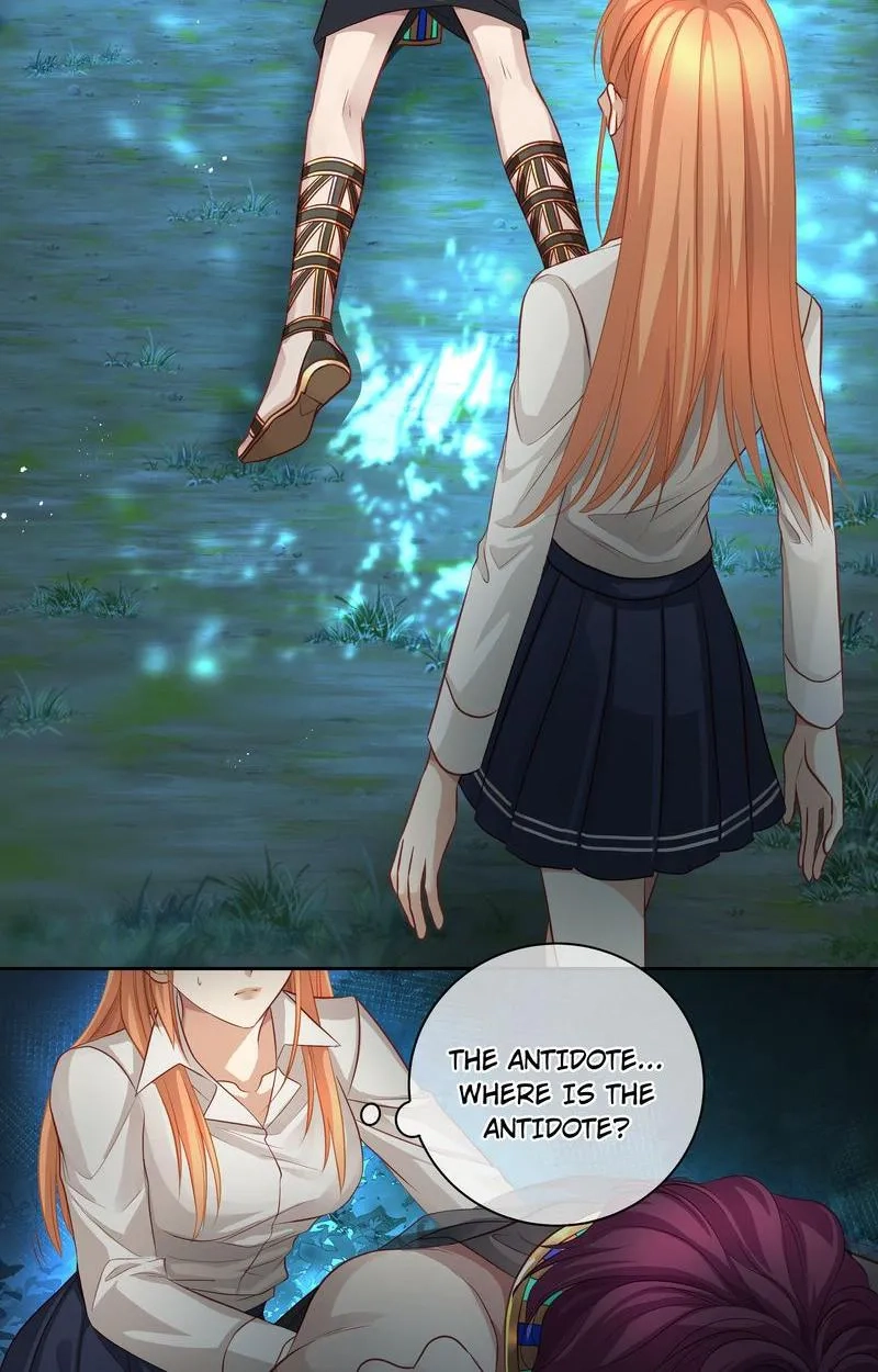 Master and Her Seven Lovers Chapter 117 page 3 - 