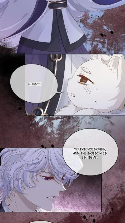 Master and Her Seven Lovers Chapter 91 page 23 - 