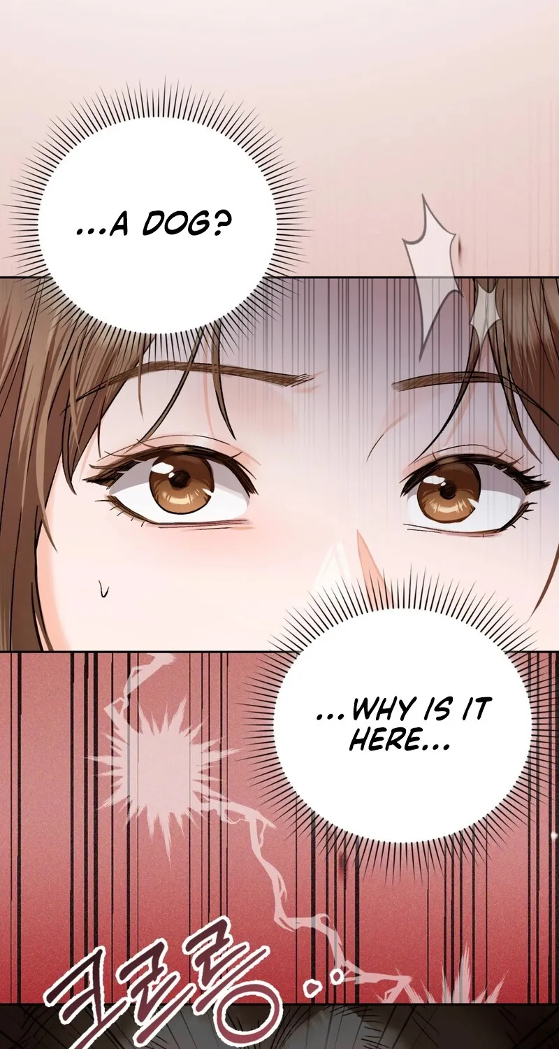 Matched Affair Chapter 5 page 72 - 