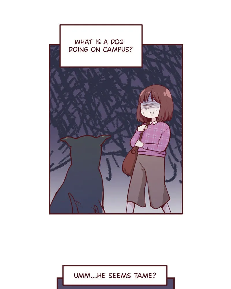 Maya's World Chapter 2 page 46 - 