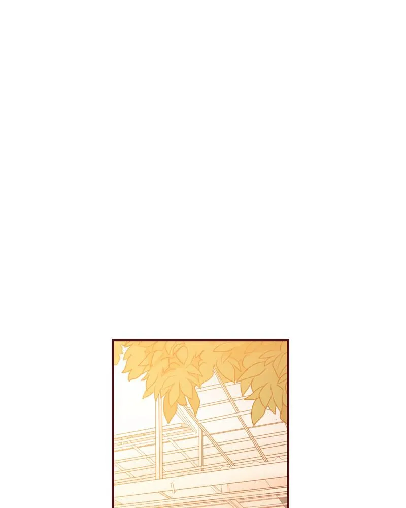 Maya's World Chapter 32 page 37 - 