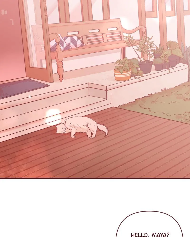 Maya's World Chapter 34 page 2 - 