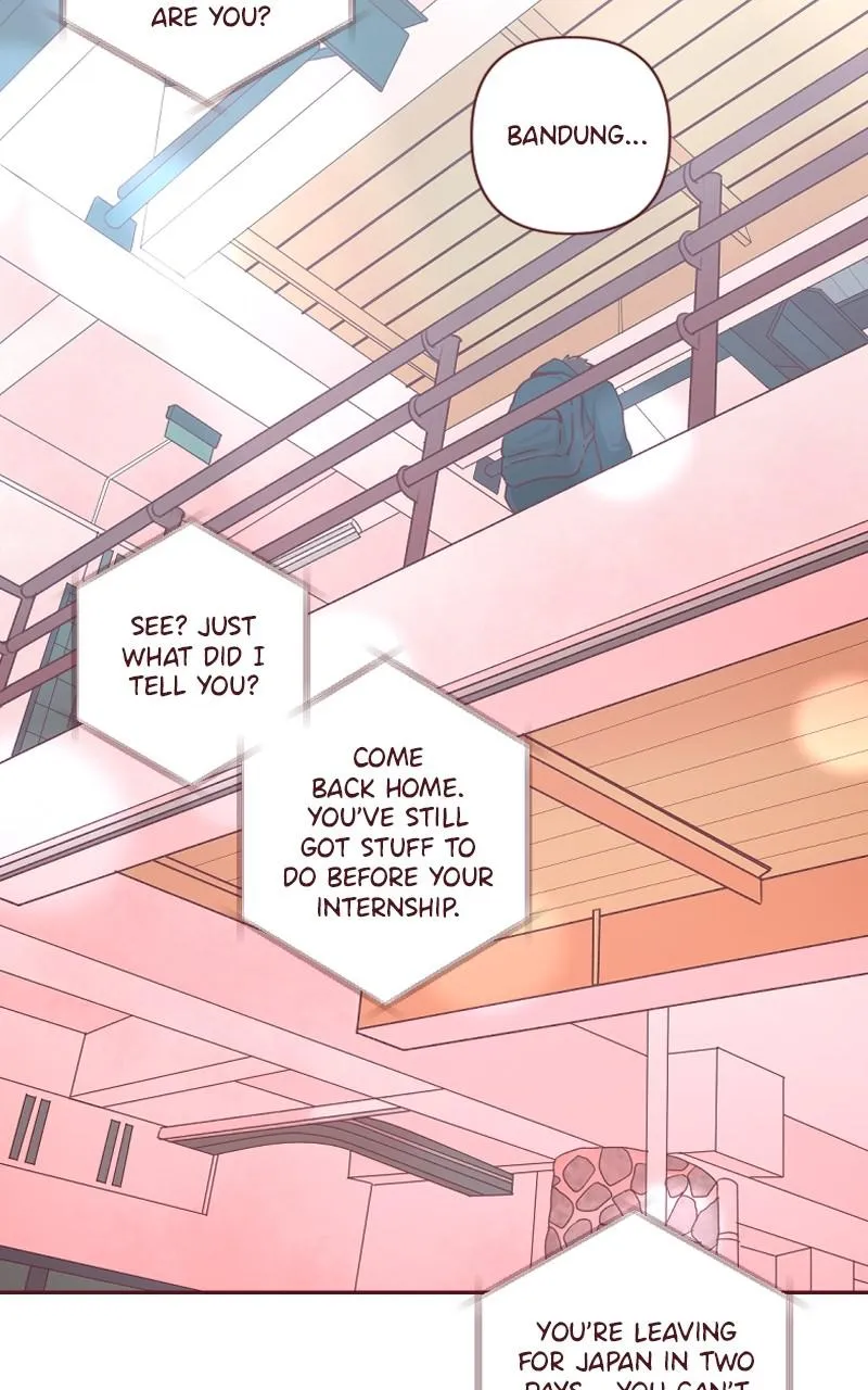 Maya's World Chapter 86 page 43 - 