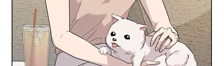 Melt Flirt Cookies Chapter 29 page 19 - 