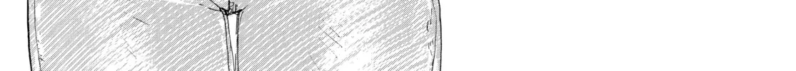 Memories of Emanon Chapter 7 page 2 - 