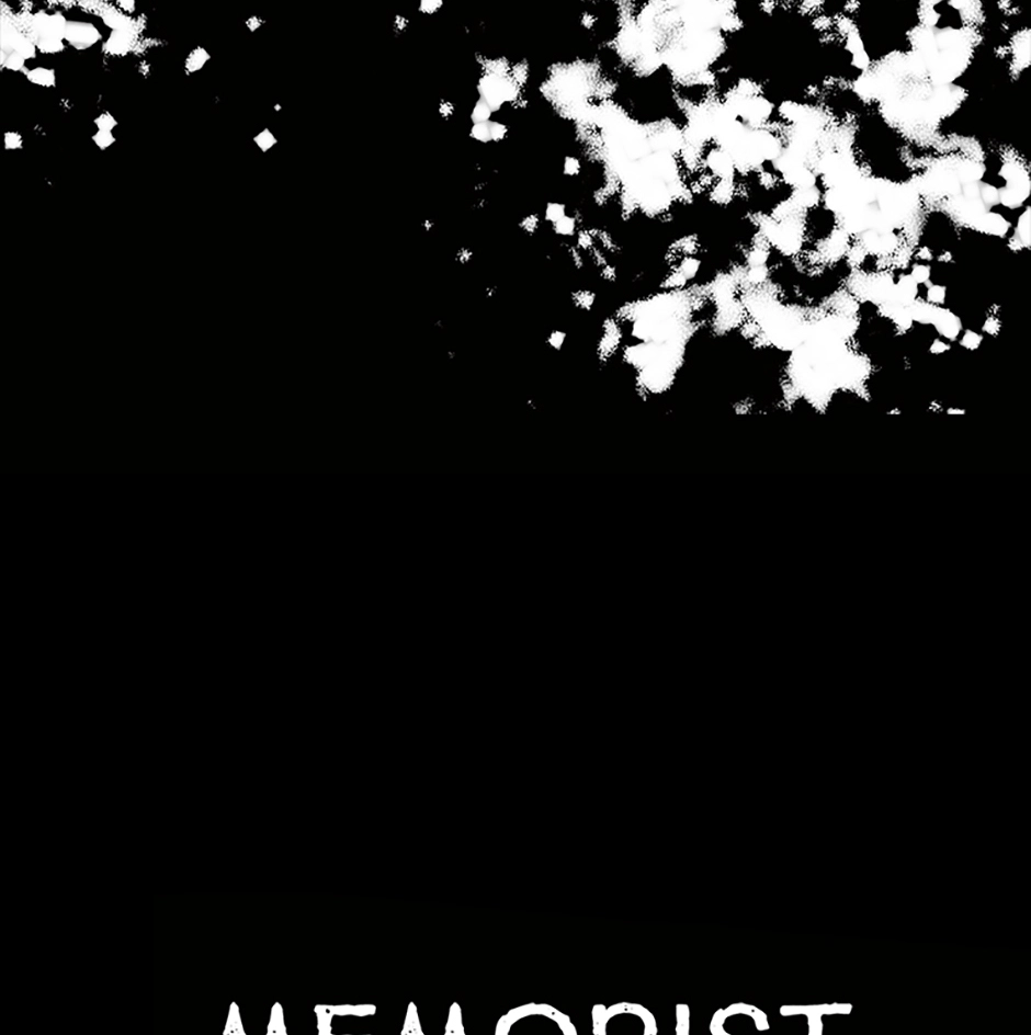 MEMORIST Chapter 31 page 27 - 