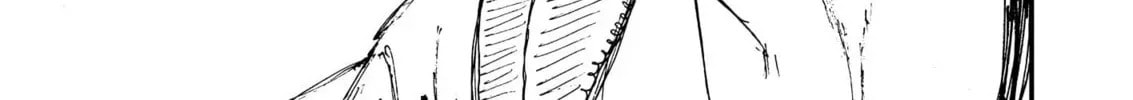 Menkui Chapter 16 page 34 - 