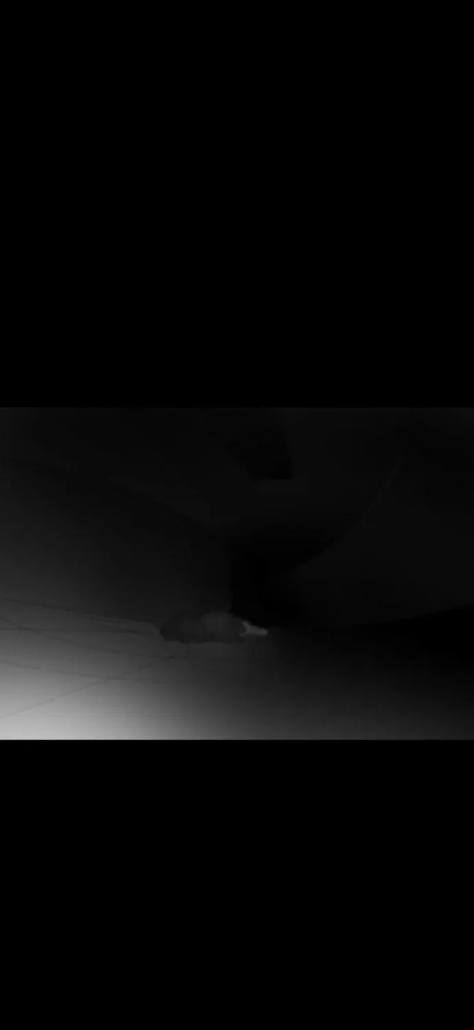 Meogi Chapter 39 page 89 - 