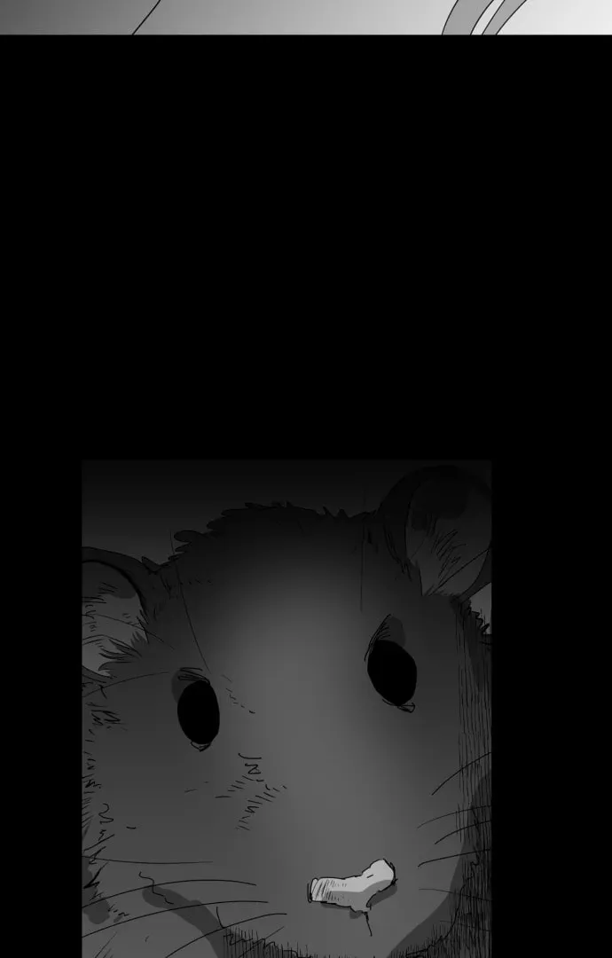 Meogi Chapter 52 page 19 - 