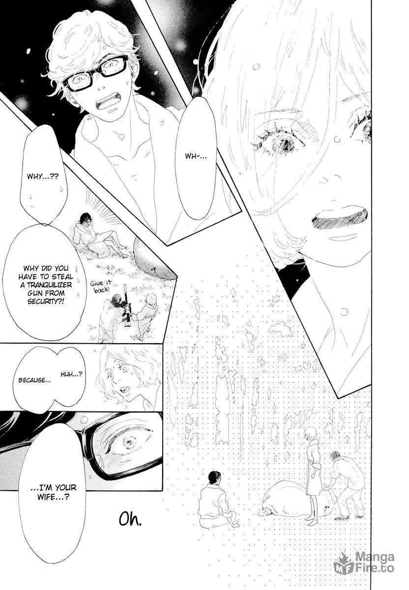 Meoto Safari Chapter 1 page 37 - 