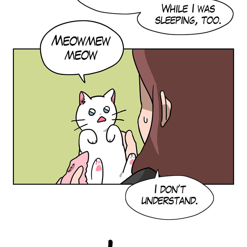 Meow Man Chapter 25 page 41 - 