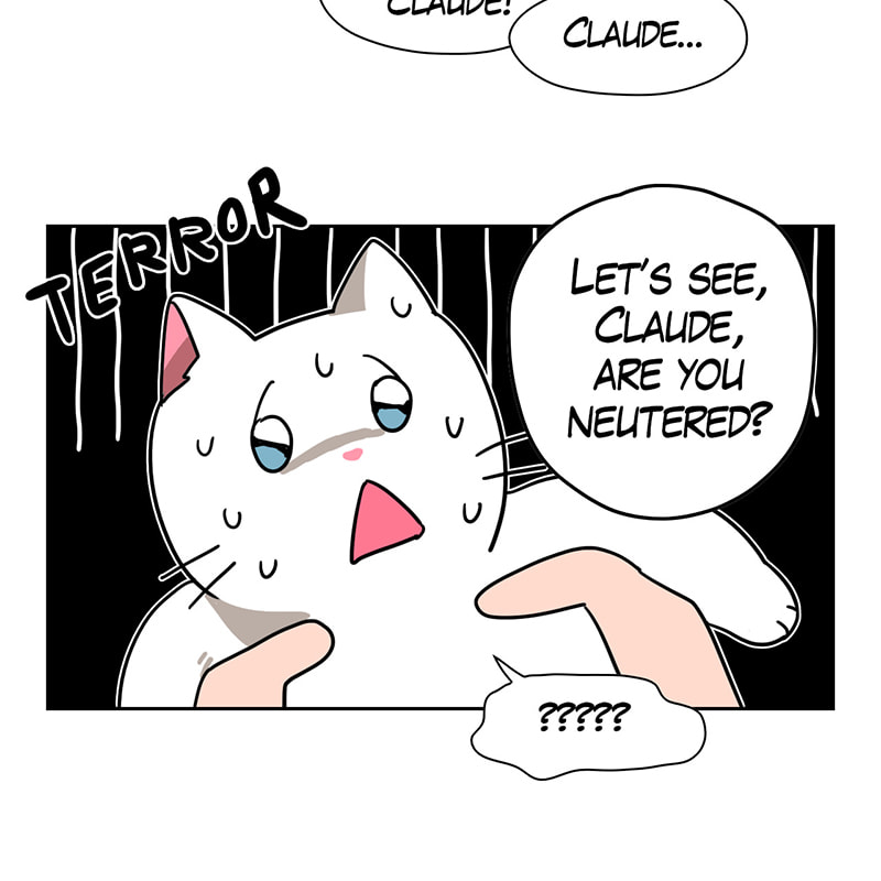 Meow Man Chapter 34 page 26 - 