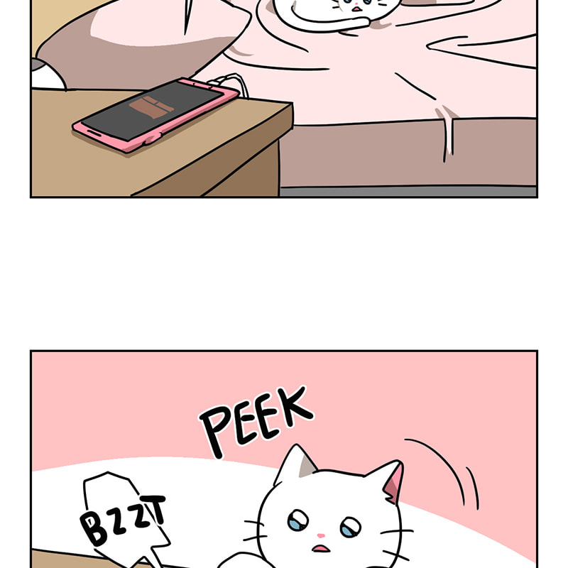 Meow Man Chapter 34 page 44 - 