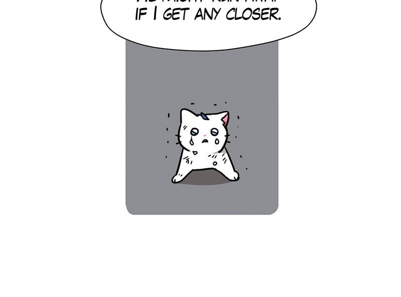 Meow Man Chapter 48 page 61 - 