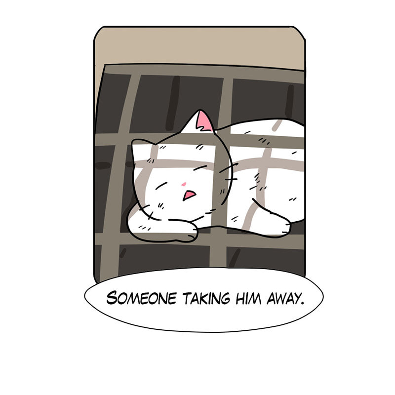 Meow Man Chapter 49 page 61 - 