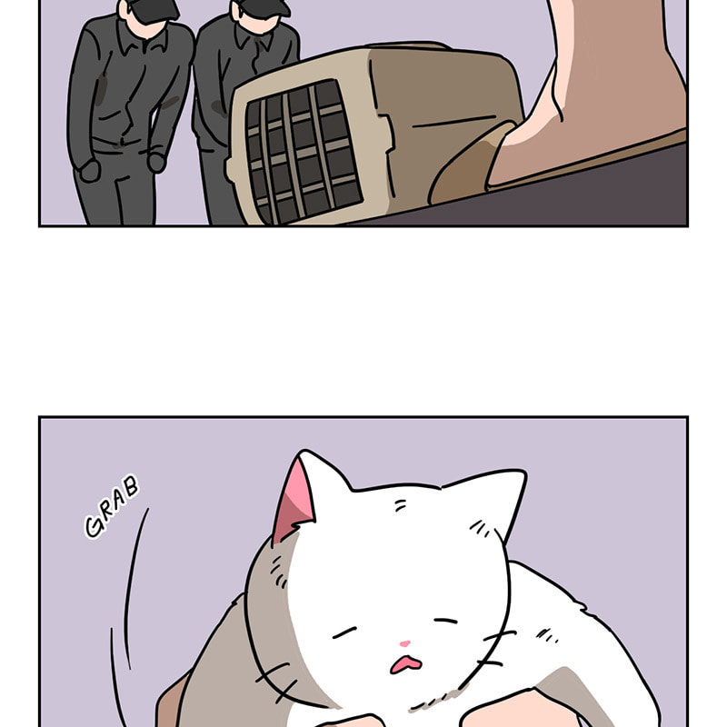 Meow Man Chapter 51 page 59 - 