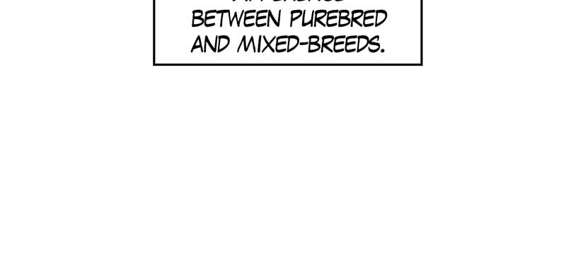 Meow Man Chapter 53 page 26 - 