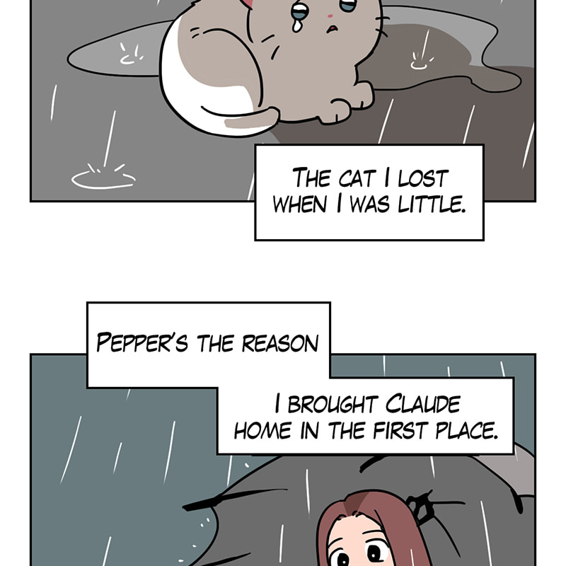 Meow Man Chapter 53 page 53 - 