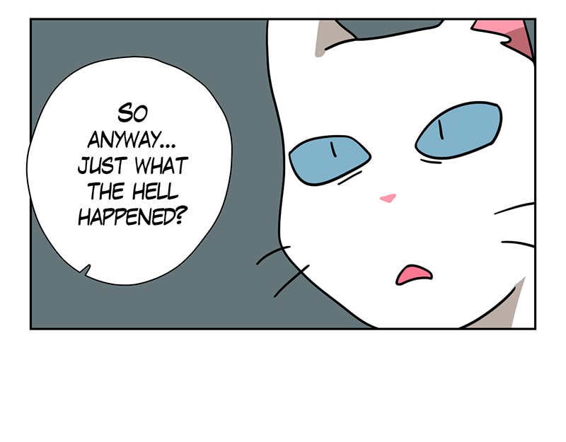 Meow Man Chapter 54 page 12 - 